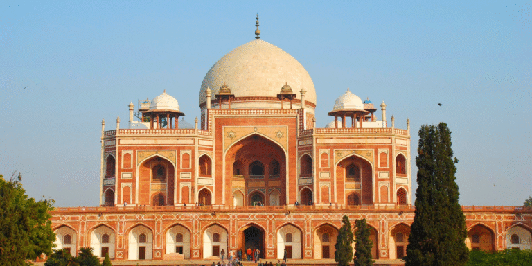 dd8896d0-f776-4b64-b572-bc568bb814d8-jpg