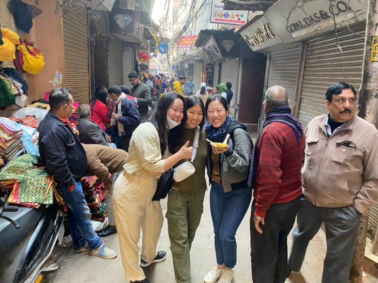 Korean girls enjoy street food tour in india