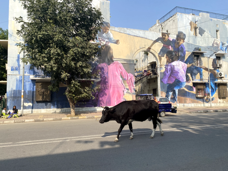 delhi beyond the crowds