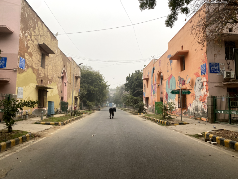 peaceful walk in delhi