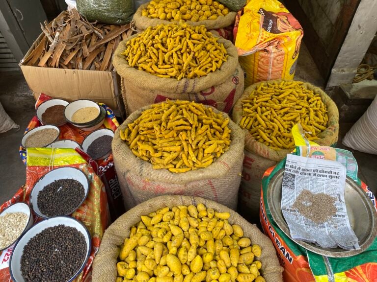 private spice market tour delhi