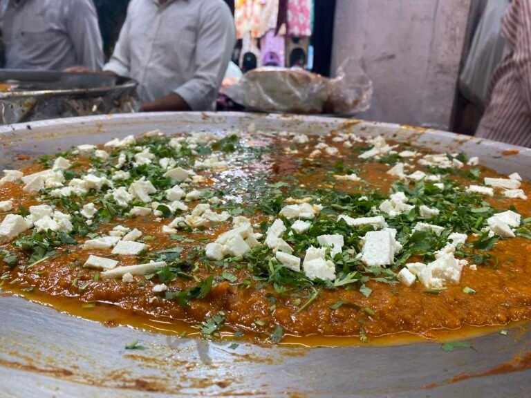 stree-food-in-india stree food in india